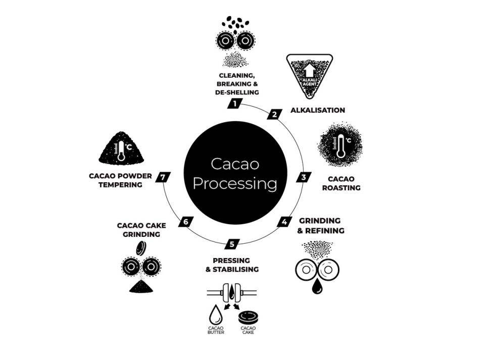 A diagram detailing how cacao powder is processed