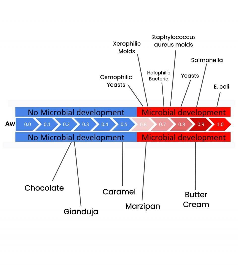 A chart showing at which water activity level different bacteria form