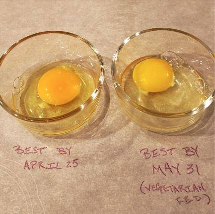 Two bowls, each labeled with a date and containing a whole raw egg