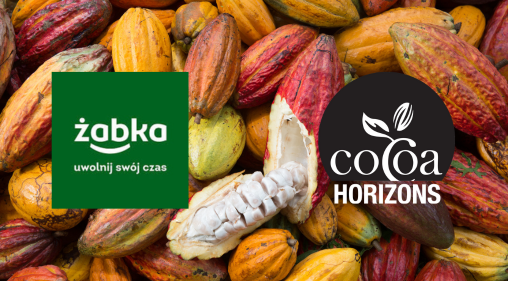 Cocoa Horizons