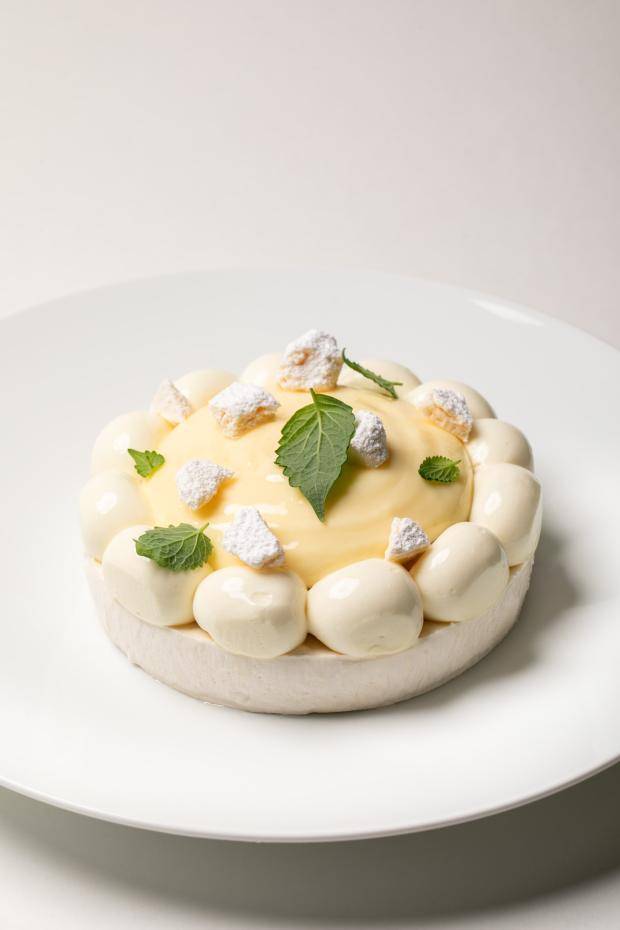 citrus pavlova